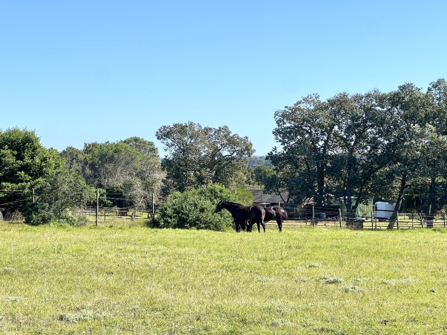 3 Bedroom Property for Sale in Theescombe Eastern Cape